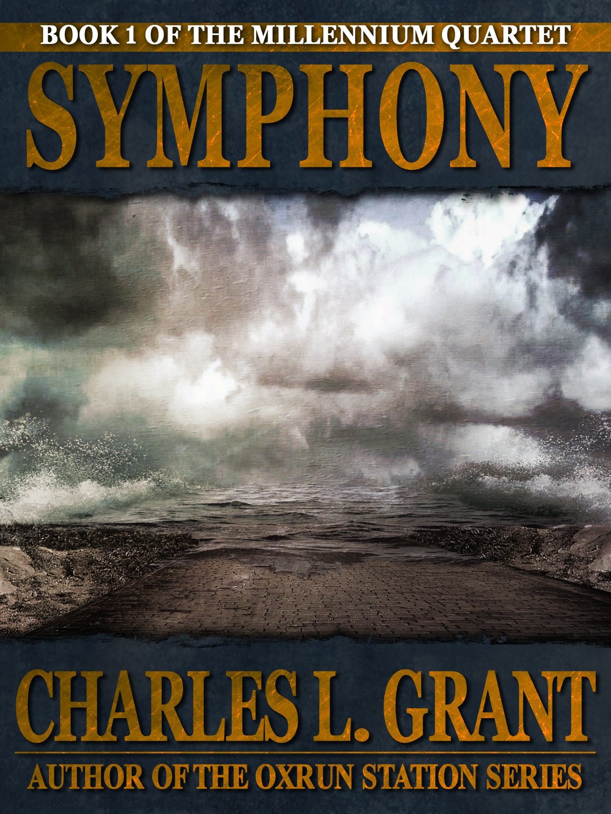 Symphony (The Millennium Quartet Book 1)