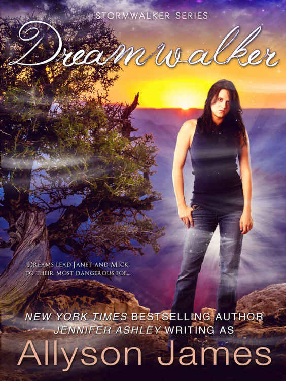 Dreamwalker (Stormwalker #5)