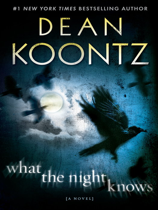 What the Night Knows (with bonus novella Darkness Under the Sun)