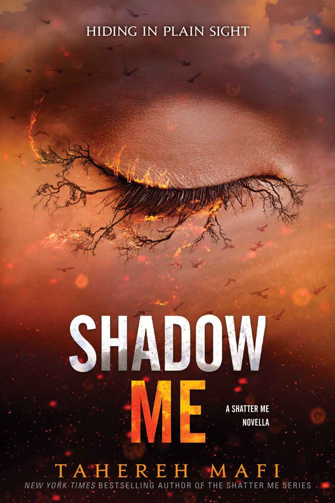 Find Me: Shadow Me and Reveal Me (Shatter Me Novellas)