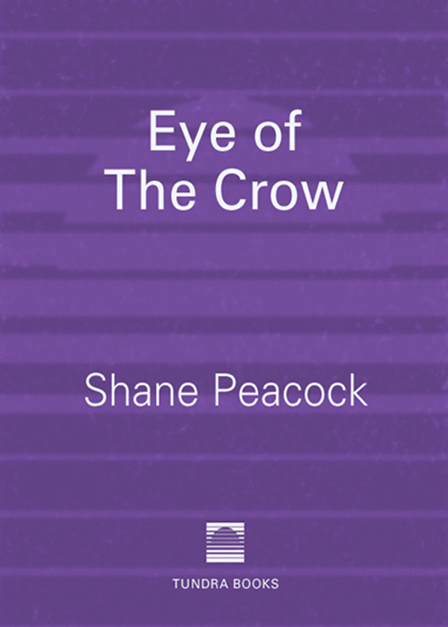 Eye of the Crow