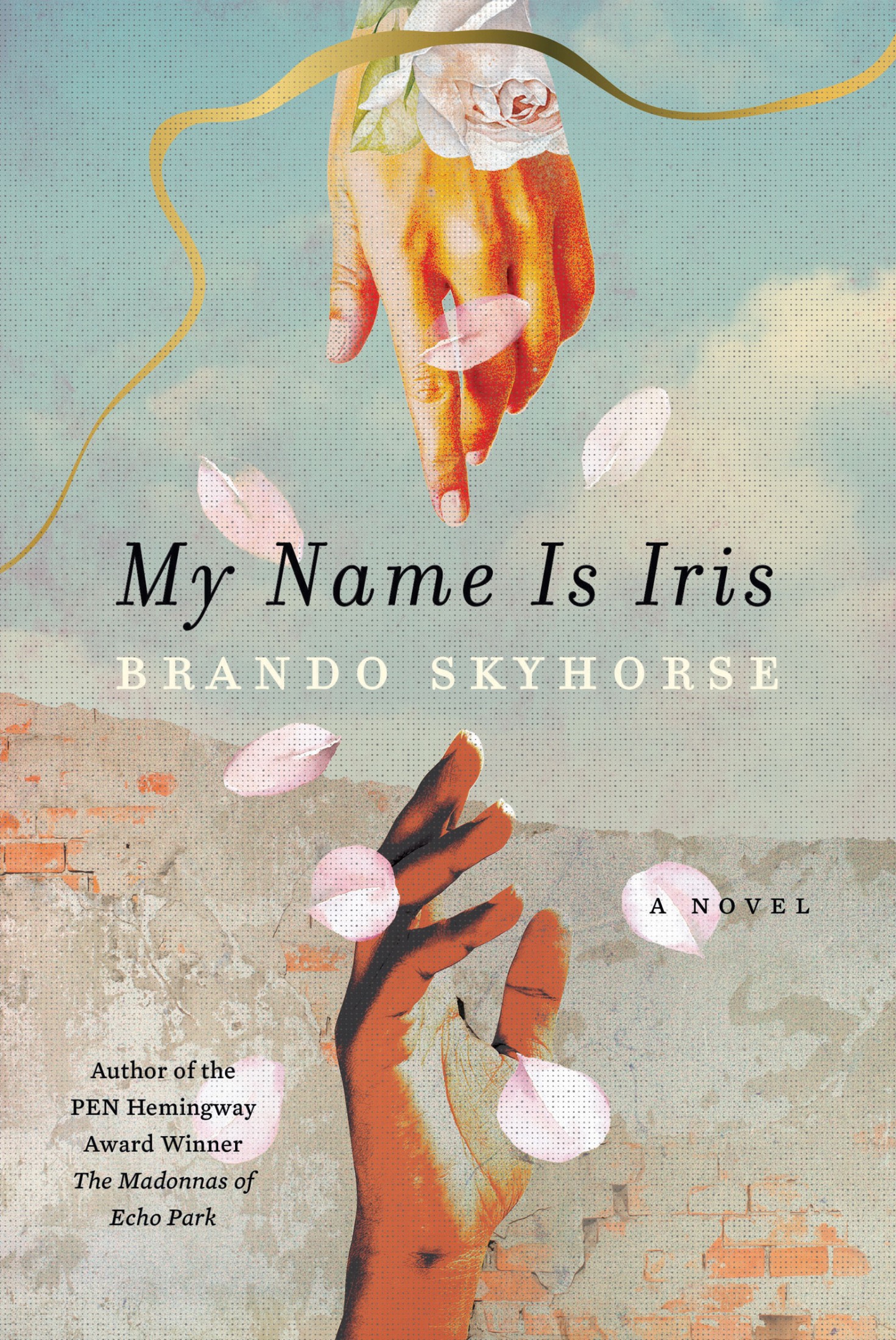 My Name Is Iris: A Novel