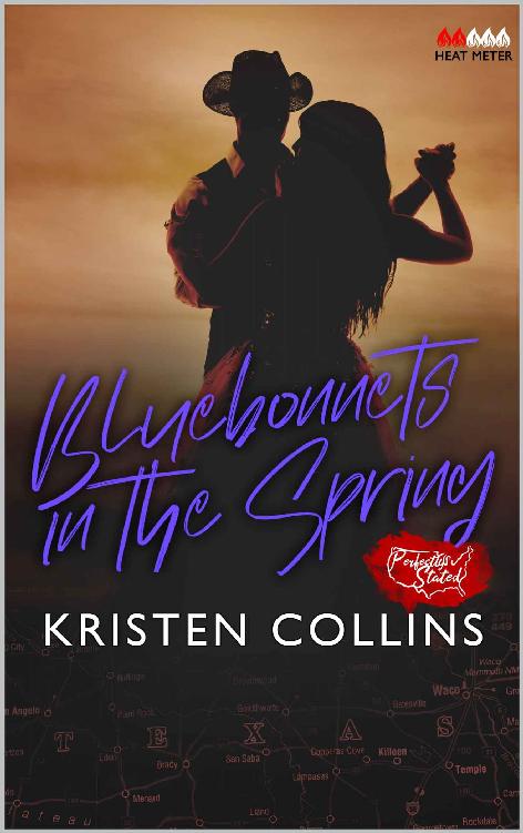 Bluebonnets in the Spring: Perfectly Stated