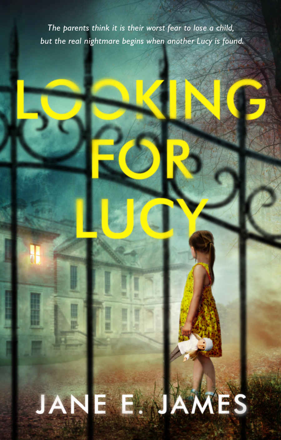 Looking for Lucy