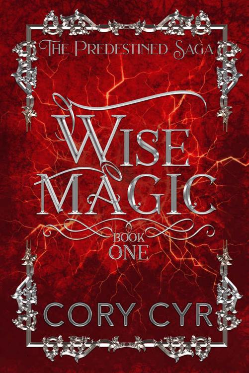 Wise Magic: Book One the Predestined Saga